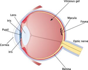 eye diagram