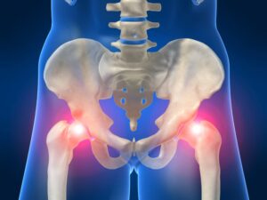 hip anatomy 